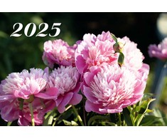 Kalen. 2027 3 dalių LRS /3 rūšys/
