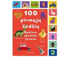 KNYGA 100 pirmųjų žodžių. Spalvos, skaičiai, formos