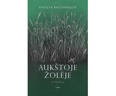 KNYGA Aukštoje žolėje