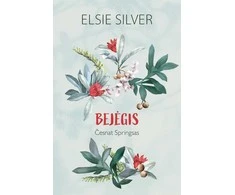 KNYGA Bejėgis (Česnat Springsas, #3)