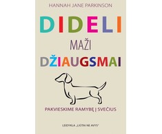 KNYGA Dideli maži džiaugsmai: pakvieskime ramybę į namus