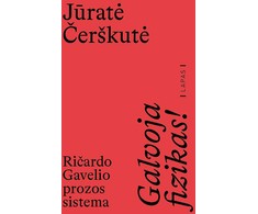 KNYGA Galvoja fizikas! Ričardo Gavelio prozos sistema