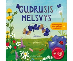 KNYGA Gudrusis melsvys
