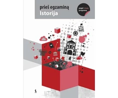 KNYGA Šviesa Istorija (serija „Prieš egzaminą“)