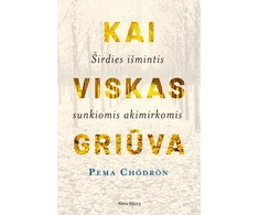 KNYGA Kai viskas griūva