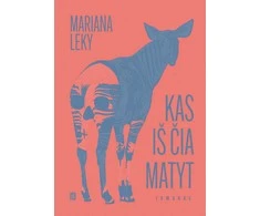 KNYGA Kas iš čia matyt
