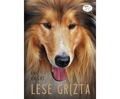KNYGA Lesė grįžta