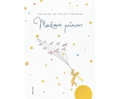 KNYGA Mažasis princas