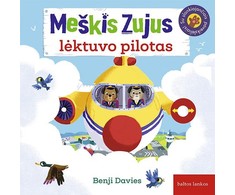 KNYGA Meškis Zujus, lėktuvo pilotas