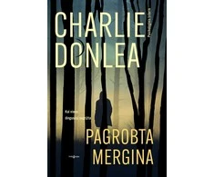 KNYGA Pagrobta mergina
