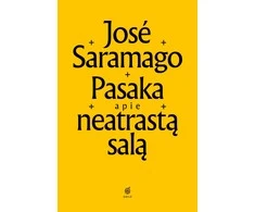 KNYGA Pasaka apie neatrastą salą
