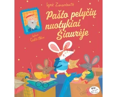 KNYGA Pašto pelyčių nuotykiai šiaurėje