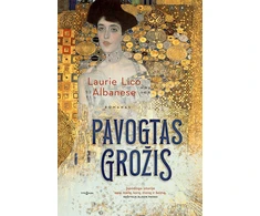 KNYGA Pavogtas grožis