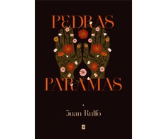 KNYGA Pedras Paramas