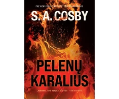 KNYGA Pelenų karalius