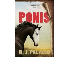 KNYGA Ponis