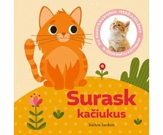 KNYGA Surask kačiukus. Su nuotraukomis, medžiagėlėmis ir iššokančiu katinėliu!