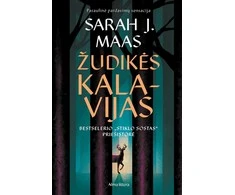 KNYGA Žudikės kalavijas. Serijos „Stiklo sostas“ priešistorė