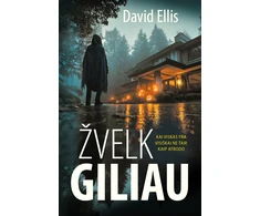 KNYGA Žvelk giliau