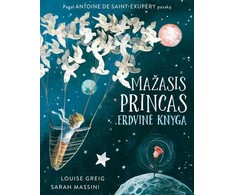 Mažasis princas. Erdvinė knyga