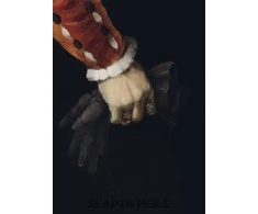 Užrašinė. Slapta meilė: Žygimantas Augustas