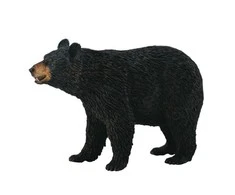 Collecta Figūrėlė Amerikietiškasis lokys (L)