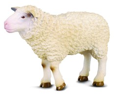 Collecta Figūrėlė Avis (M)