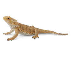Collecta Figūrėlė Barzdotasis drakonas (driežas) (L)