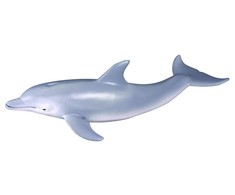 Collecta Figūrėlė Delfinas Afalina (M)