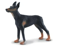 Collecta Figūrėlė Dobermanas pinčeris (L)