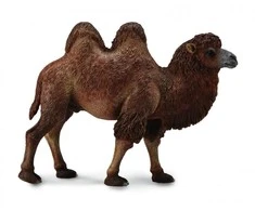 Collecta Figūrėlė Dvikupris kupranugaris (L)