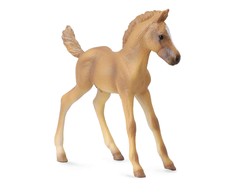 Collecta Figūrėlė Haflindžerio veislės kumeliukas (M)
