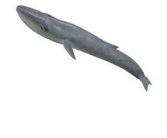 Collecta Figūrėlė Mėlynasis banginis (XL)
