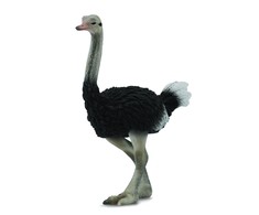 Collecta Figūrėlė - Strutis