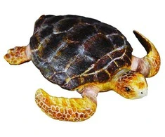 Collecta Figūrėlė Vėžlys (M)