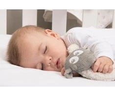 SWEET DREAMERS migdukas su laikikliu čiulptukui, pilkos spalvos