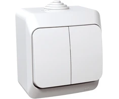 2 klavišų jungiklis Schneider Cedar Plus WDE000550 (virštinkinis, baltas, 16A, 250V)
