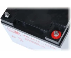 Mw Power AKUMULIATORIUS 12V/40AH-MWL