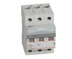 Automatinis jungiklis MCB RX3 Legrand 406469 (100A, 3P, 230V, 6kA)