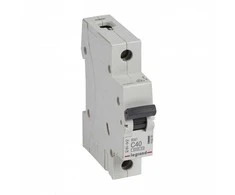 Automatinis jungiklis MCB RX3 Legrand 419206 (40A, 1P, 230V, 6kA)