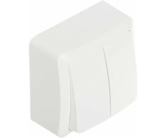 DVIGUBAS APŠVIESTAS JUNGIKLIS BERG/3711-00/EPN 250 V 10 A Elektro-Plast