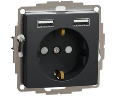 Kištukinis lizdas su įžeminimu Schneider Electric Sedna Design SDD114052 (antracitas, 2xUSB-A)