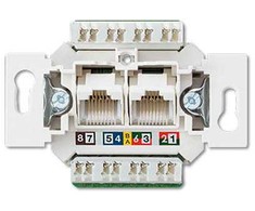 Kompiuterinis lizdas JUNG EPUAE8-8UPOK6US (2xRJ45 CAT 6)