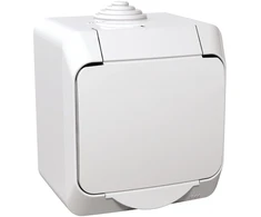 Virštinkinis kištukinis lizdas su įžeminimu Schneider Cedar Plus WDE000541 (su dangteliu, baltas, 16A, 250V)