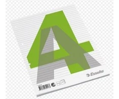 Bloknotas, plėšomas, Esselte, A4/100, linija