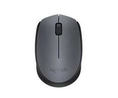 Logitech M170 Belaidė pelė, RF belaidė, 1000 DPI, Pilkas/Juodas (SPEC)
