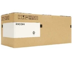 Ricoh D1979641 (D197-9641) Juodas Developer