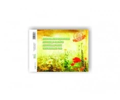 Smiltainis Akvarelinis sąsiuvinis SMLT, A4, 200 g, klijuotas, (10) 0708-205