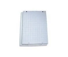 Konferencinis bloknotas SMLT, 59.4x84 cm, 80 g, langeliais (20) 0715-002