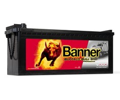BANNER Buffalo PRO 64503 145Ah 12V 800A (EN) akumuliatorius